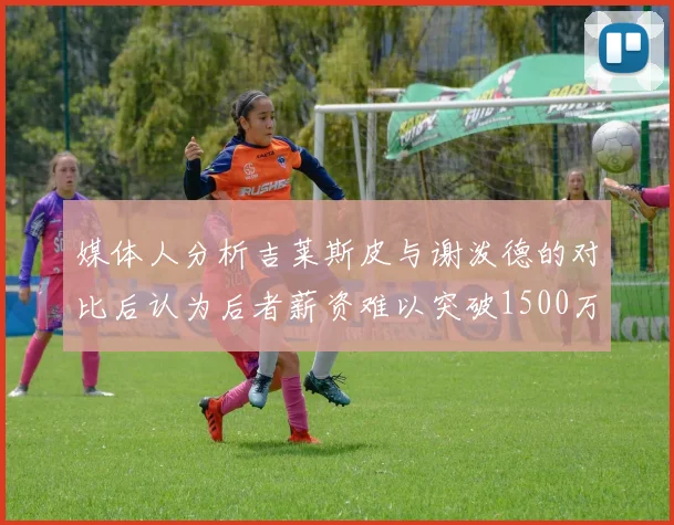 媒体人分析吉莱斯皮与谢泼德的对比后认为后者薪资难以突破1500万