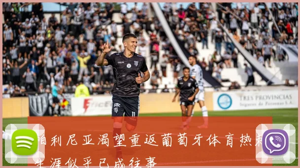 帕利尼亚渴望重返葡萄牙体育热刺生涯似乎已成往事